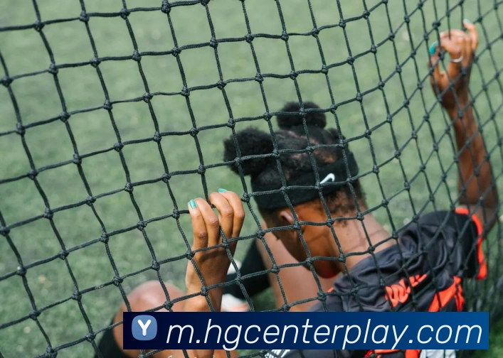 皇冠体育平台生态图